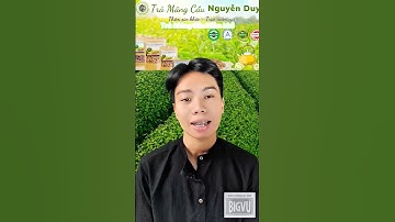 Sự ra đời của trà mãng cầu xiêm khô 🌿 #tramangcauxiem #mangcauxiem #tea #soursoup