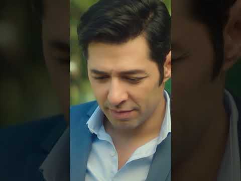 ستيليتو فينديتا جرائم صغيرة حب الحيوانات    