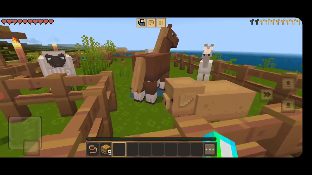 19 de fevereiro de 2026