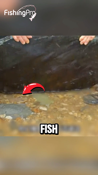 #fishing #fish
