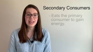 Secondary Consumers - Food Chain