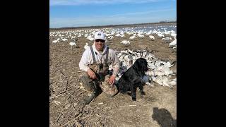 Drahtco.com Founder & American Master Deutsch-Drahthaar Trainer Clint Joesting