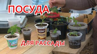 Дешёвая посуда для рассады