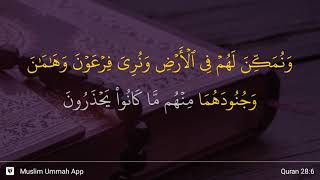 Al-Qasas ayat 6
