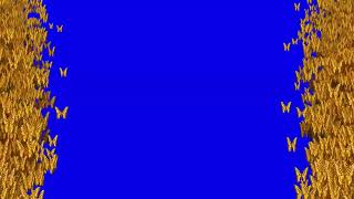 Butterfly Frame Animation HD Blue Screen Video Effect