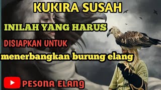 SEGAMPANG INI MENERBANGKAN BURUNG ELANG