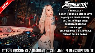 DJ DANZA KUDURO X STEREO LOVE !! BREAKBEAT MELODY TERBARU SUPER BASS 2024 !!