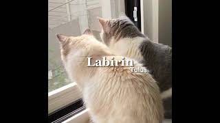   Labirin  Tulus Sped Up 