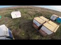 Putting in some work and checking on @barkersbees hives we are managing here in Northern California 
