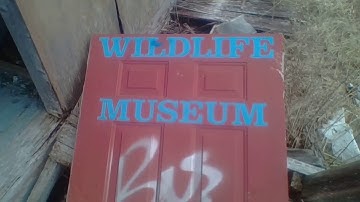 FUN TIME AT TRINITY LOOP