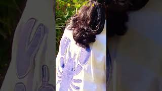 wow..🤩புள்ளிமான்..#shorts #viral #nature #animals #trending #summer #iit #viralvideo #video #youtube