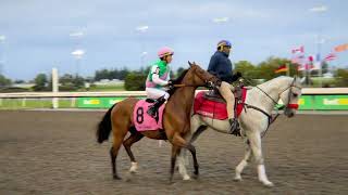 Gulfstream Park Replay Show | April 14, 2024