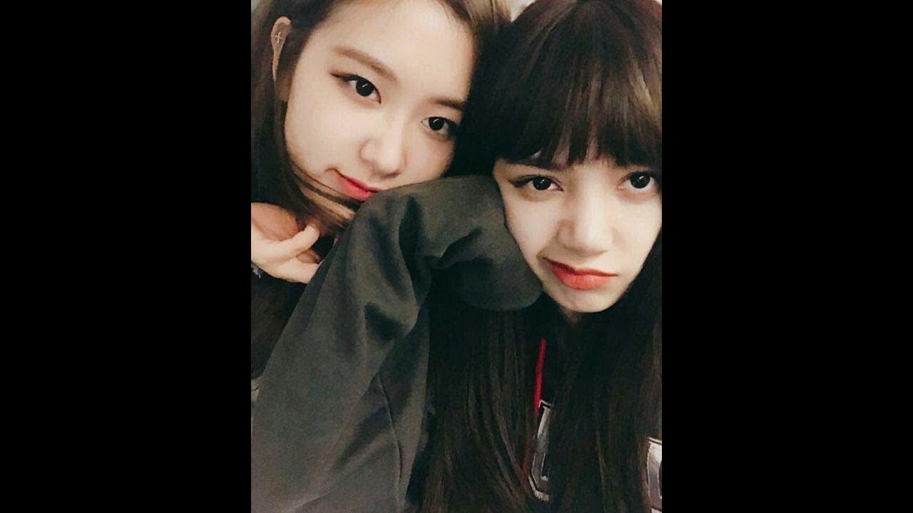 Chaelisa พูดไม่ค่อยถูก..I fall in love with you.Lisa Rose