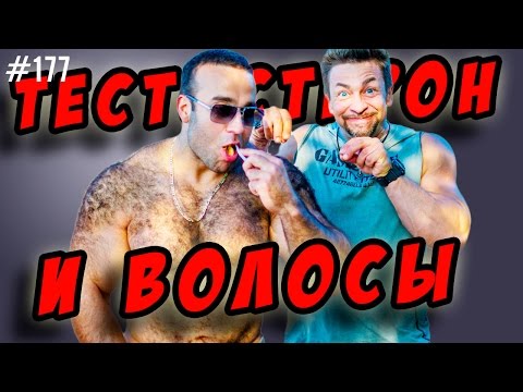 тестостерон ,борода,волосы на теле и облысение