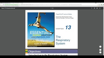 How to Print Multiple Slides per Page