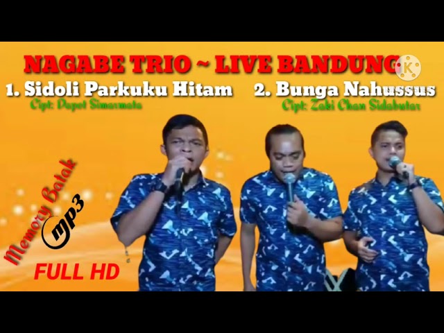 NAGABE TRIO ~SIDOLI PARKUKU HITAM u0026 BUNGA NAHUSSUS class=