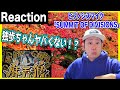 【ヒプノシスマイク 】HIPHOP好きなオタクがSUMMIT OF DIVISIONSを聞く｜SUMMIT OF DIVISIONS【Reaction】