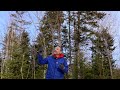 The Red Fox of Our Forest: Fun Facts &amp; Insights