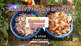 Луковая шелуха спасёт ваши растения от вредителей!