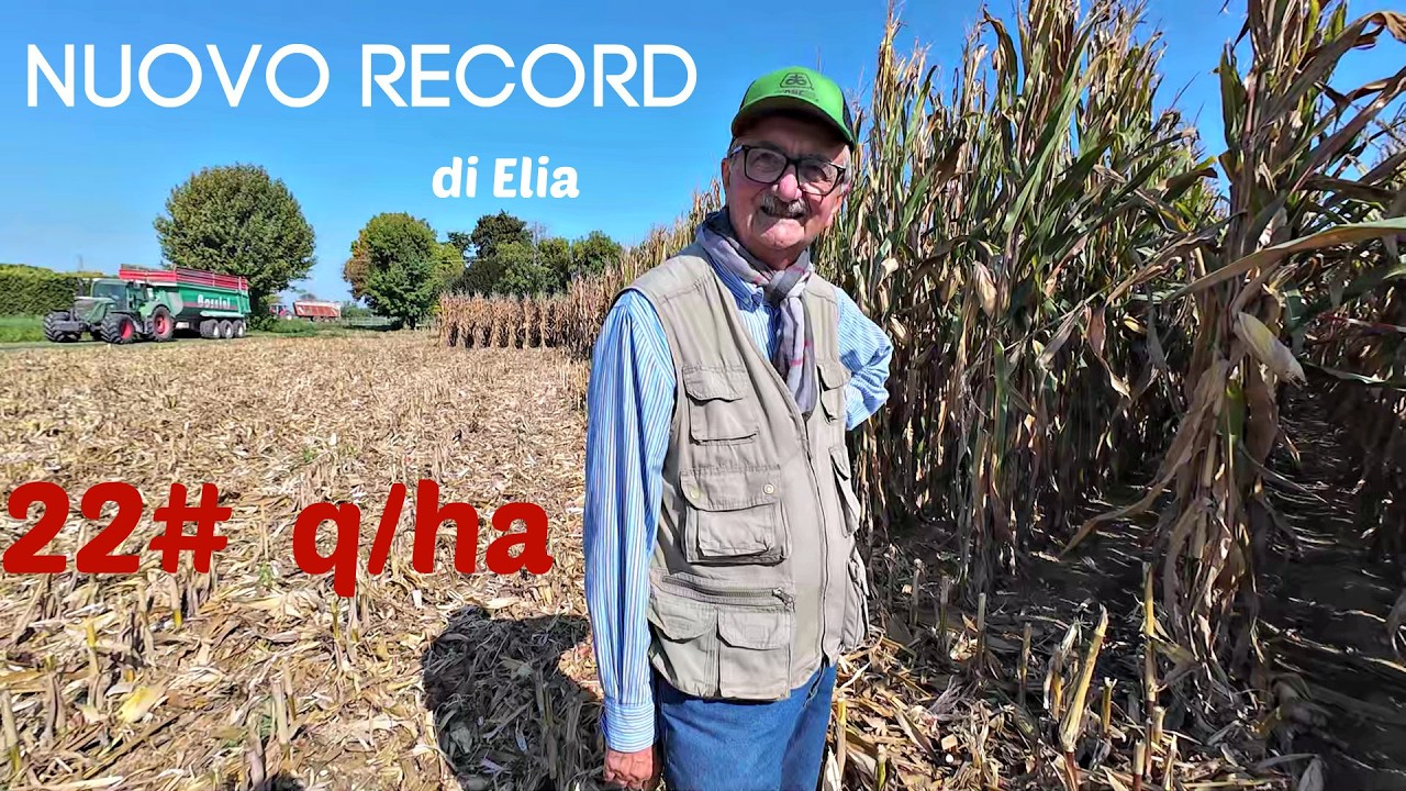 IL MAIS da RECORD di ELIA