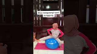 Gerakan Menggunakan Gym Ball Yg Bisa Dilakukan Utk Bumil Trimester 3 Ya Bun