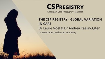 CSP Registry Masterclass - Global Variation in Care - Dr Laure Nöel and Dr Andrea Kaelin Agten