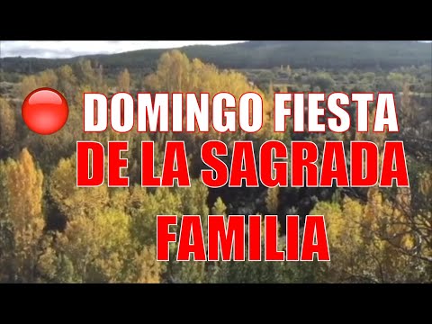 🔴DOMINGO FESTIVIDAD DE LA SAGRADA FAMILIA | Evangelio del dia 29 de Diciembre - Ciclo A
