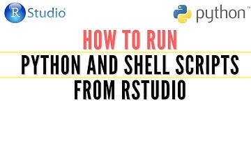 How to run Python and Shell scripts from RStudio