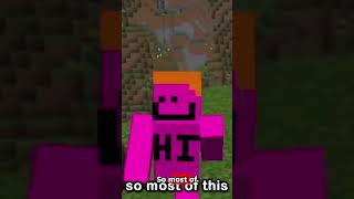 Did Mojang Kill Minecraft's Best New Feature? The Sulfur Cube Explained