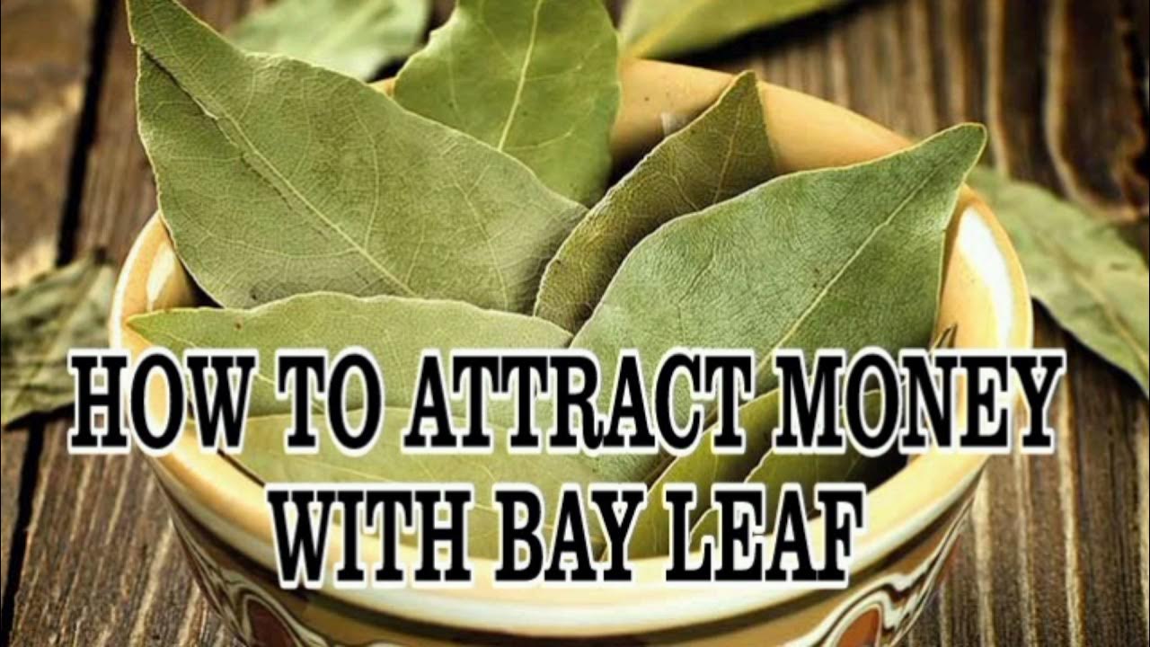 HOW TO ATTRACT MONEY WITH BAY LEAF, BURNING BAY LEAF, BAY LEAF BENEFITS