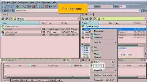 Managing files in Leap FTP