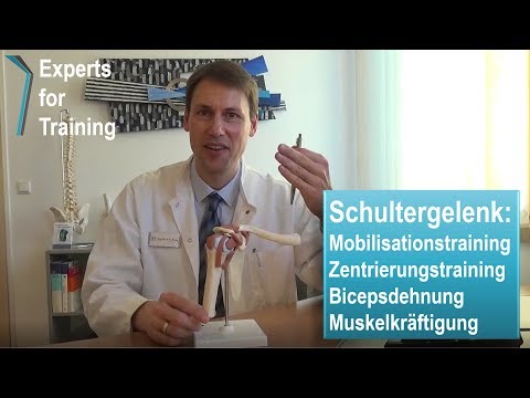 Schultergelenk - Experts