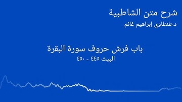 شرح الشاطبية || د.طنطاوي إبراهيم غانم || سورة البقرة ١