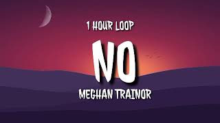 Meghan Trainor - NO (1 HOUR LOOP) [TikTok song]