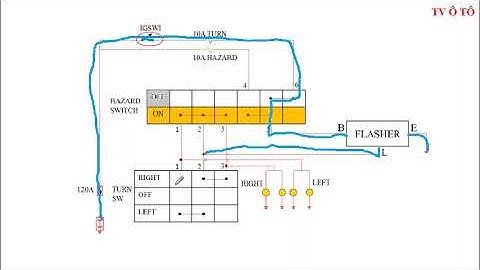 Mạch điện đèn báo rẽ và báo nguy (hazard) cơ bản | KỸ THUẬT XE