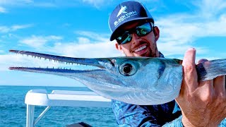 Fishing for Aggressive Houndfish on the Flats in the Bahamas  4K