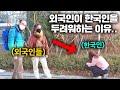 한국에 정착한 외국인들이 말하는 한국인이 무서운 진짜 이유