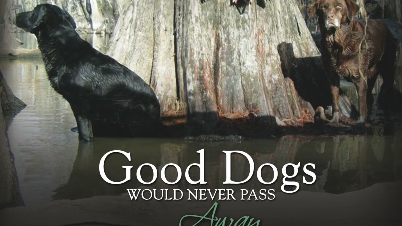 Matthew Huff   Good Dogs Would Never Pass Away