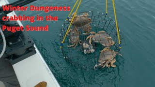 C-Dory 22' Cruiser: Winter Dungeness crabbing in the Puget Sound