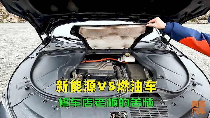 新能源车会完全取代燃油车吗？听听修车店老板的吐槽，你会买啥车 - 天天要闻