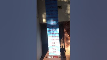 Physics Free Fall Lab 1