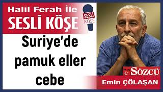 Emin Çölaşan: Suriye’de Pamuk Eller Cebe 16/10/25 Halil Ferah Ile Sesli Köşe