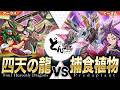 【#遊戯王】統合召喚をも超える超融合！！次元を統べるさらなる切り札を解放する！！四天の龍 vs 捕食植物【#博多どんよく】