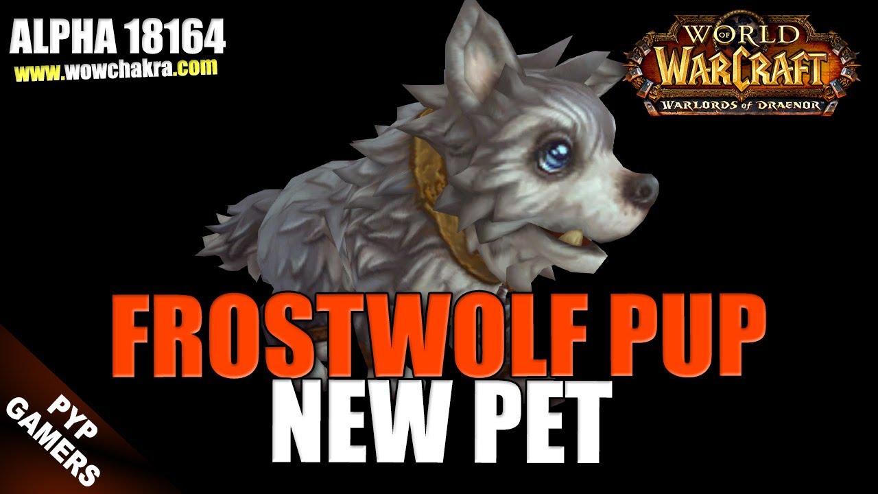 New Frostwolf Pup pet | Warlords of Draenor Alpha