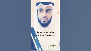 سورة النور الايه 45-46