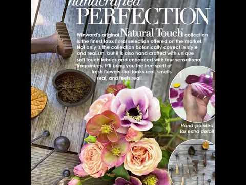 Winward’s Natural Touch Collection