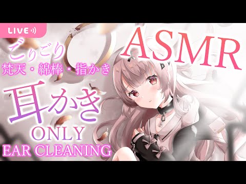 【3dio/ASMR】２週間分のたっぷり耳かきONLY ASMR...💗（綿棒/指かき/梵天/耳ふぅ/)【戸鎖くくり/新人Vtuber】