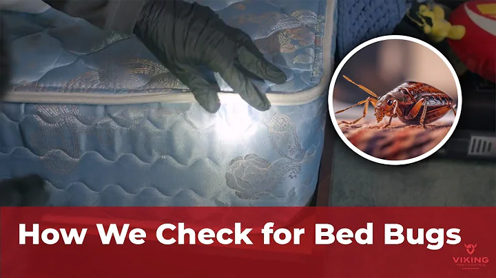 What to Look for in a Bed Bug Inspection