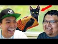 The Funniest Indigenous Cat Videos 😂