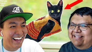 The Funniest Indigenous Cat Videos 😂